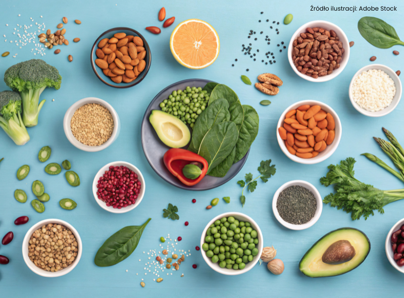sJaka jest rola białka roślinnego w diecie redukcyjnej i leczeniu otyłości?